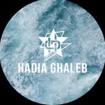 @hadiaghaleb.com